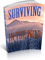 Surviving In The Wild